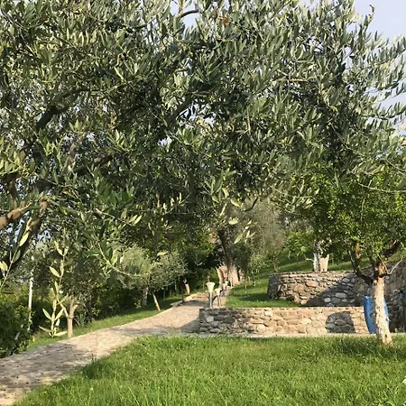 Orman Evi Leonard Mjull-Bethore